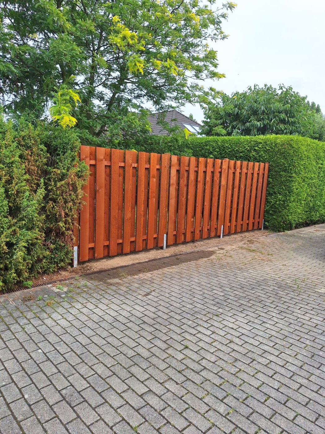 Sichtschutzzaun aus Lärchenholz vor Thuja-Hecke